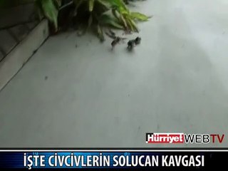 HAPUR HUPUR YEDİLER