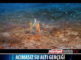 GÜCÜ GÜCÜ YETENE SALDIRIYOR