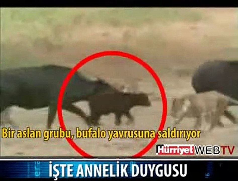 ANNELİK DUYGUSU 3