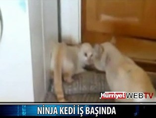 BÖYLE DÖVÜŞ TEKNİĞİ GÖRÜLMEDİ