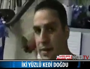 İŞTE 2 YÜZLÜ KEDİ