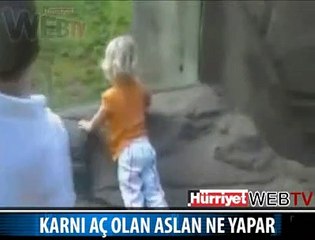 KARNI AÇ ASLAN ÇOCUKLARA SALDIRDI