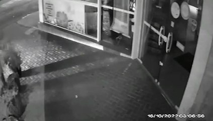 Imagens registram momento do impacto de BMW em padaria no Parque Verde