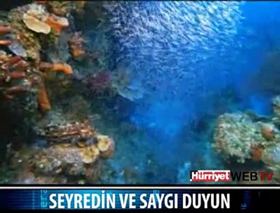 NE KADAR GÜZEL.