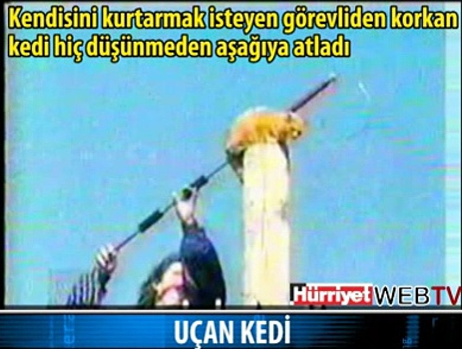 UÇAN KEDİ
