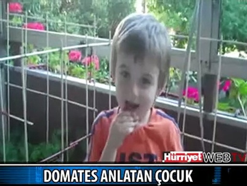 DOMATESİ ANLATTI