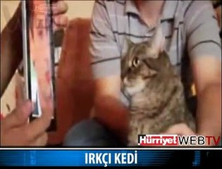 İŞTE IRKÇI FAŞİST KEDİ