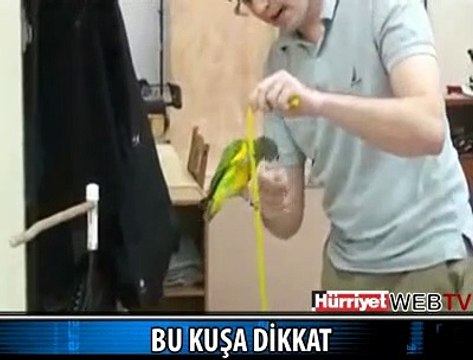 İNANILMAZ AMA GERÇEK