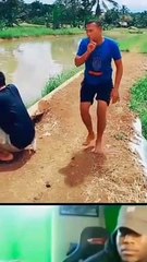 Kompilasi vidio lucu