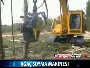 AĞAÇ TEMİZLEME MAKİNASI