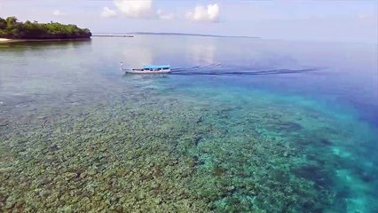 'Surga' bawah laut terindah di DUNIA HANYA DI INDONESIA.