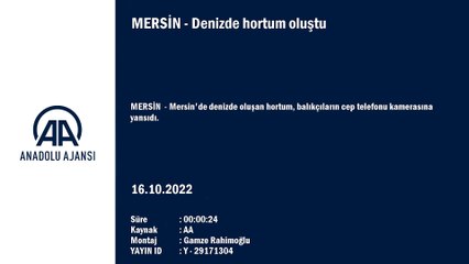 Mersin açıklarında korku dolu anlar! Balıkçıların cep telefonuna yansıdı