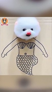 Animais engraçados 2022 - Căes fofos fazendo coisas engraçadas P18 #shorts Căes engraçados