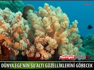 DÜNYA EGE'NİN SUALTI GÜZELLİKLERİNİ GÖRECEK