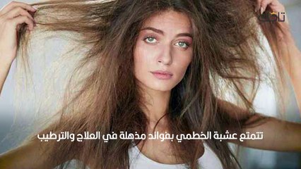 أفضل 5 أعشاب لترطيب الشعر الجاف جدًا