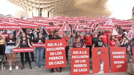 Video herunterladen: Protestas para incluir a los perros de caza en la nueva ley de bienestar animal