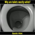 Why Toilets Are Always White? Most Amazing facts | quick hint