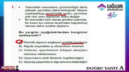 FELSEFE SORULARININ ÇÖZÜMLERİ