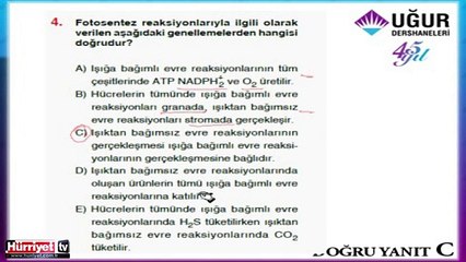 BİYOLOJİ SORULARININ ÇÖZÜMLERİ