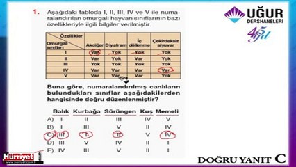 BİYOLOJİ SORULARININ ÇÖZÜMLERİ