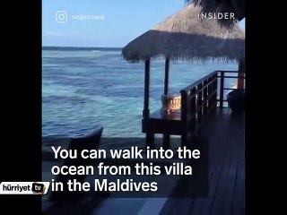 Maldivler’de okyanusa açılan merdivenler!