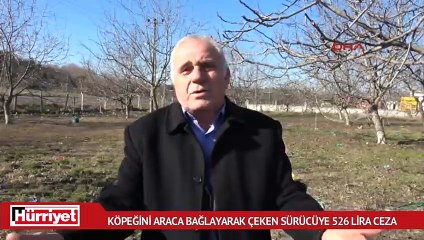 Köpeğini araca bağlayarak çeken sürücüye 526 lira ceza