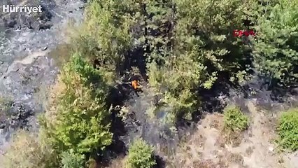 Safranbolu'da 5 dönüm ormanlık alan yandı