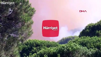 Orman yangını çıkarmıştı! Gözaltına alındı