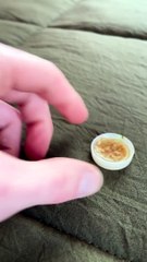 cute chicken baby।  চতুর মুরগির বাচ্চা।