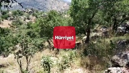 MSB duyurdu! Komandolarımız teröristlerin ininde