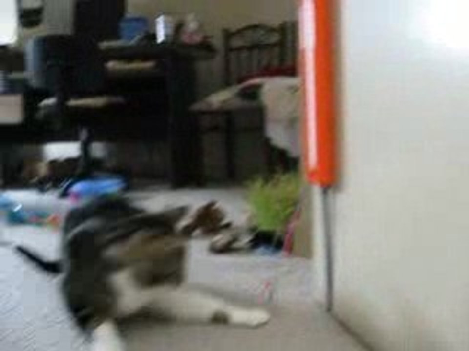Georgie and his new toy
