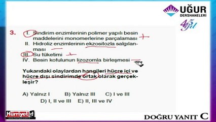 BİYOLOJİ SORULARININ ÇÖZÜMLERİ