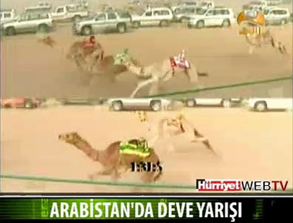 ARAP SPİKER ÇILDIRDI