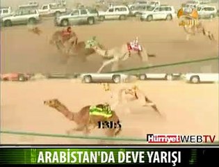 ARAP SPİKER ÇILDIRDI