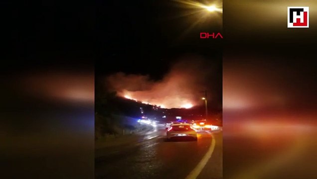 İzmir'in Menderes ilçesinde orman yangını