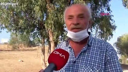 İzmir'de mahalle yakınında orman yangını