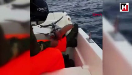 Oltayla yakaladı, tam 42 kilo