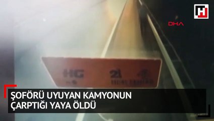 Şoförü uyuyan kamyonun çarptığı yaya öldü  kaza anı kemaraya yansıdı