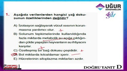 BİYOLOJİ SORULARININ ÇÖZÜMLERİ