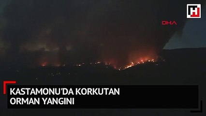 Kastamonu'da korkutan orman yangını