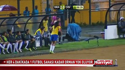 HER 4 DAKİKADA, 1 FUTBOL SAHASI KADAR ORMAN YOK OLUYOR