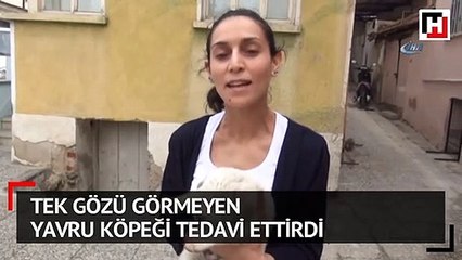 Tek gözü görmeyen yavru köpeği tedavi ettirdi