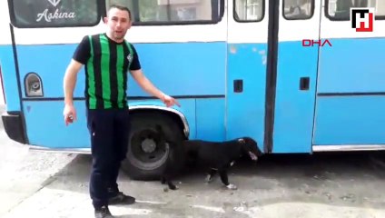 Köpekler can çekişirken yaşananları gözyaşları içinde anlattı