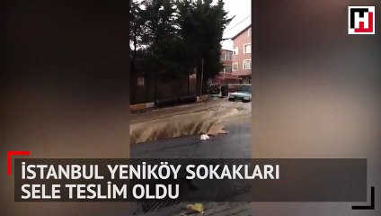 Bu görüntü İstanbul Yeniköy'de çekildi