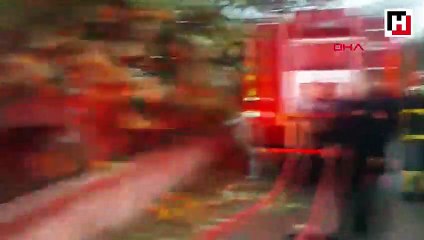 Yanan evden çıkardığı kediyi oksijen vererek kurtardı