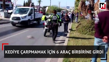 Kediye çarpmamak için 6 araç birbirine girdi