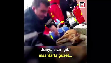 Ölmek üzere olan köpeği hayata böyle döndürdü!