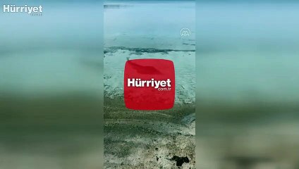 Yaklaşık 2 metre uzunluğunda "kemane" balığı görüntülendi