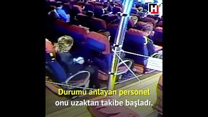 Hamile kedi yavrularını gemide doğurdu