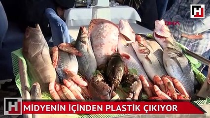 Midyeci: Sürekli olmasa da bazen çıkıyor